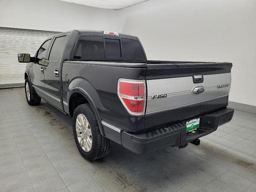 2013 Ford F-150 Platinum