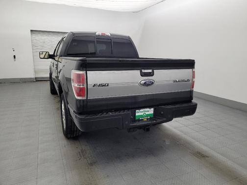 2013 Ford F-150 Platinum