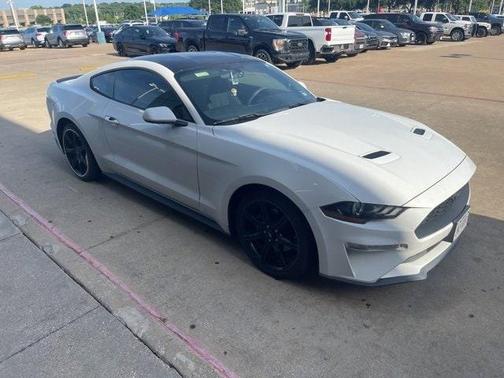 2019 Ford Mustang EcoBoost