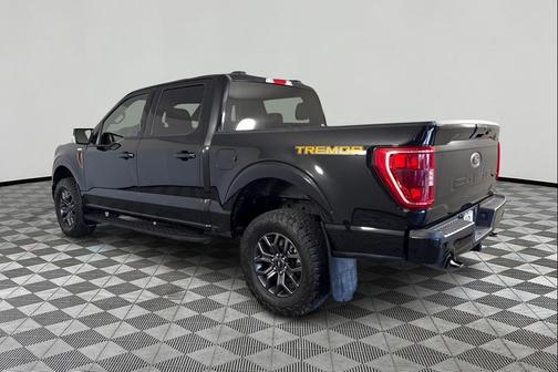Agate Black Metallic 2023 Ford F-150 Tremor
