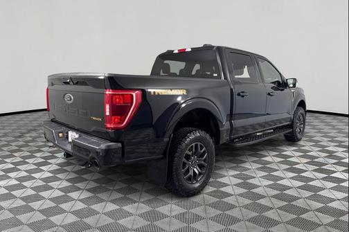 Agate Black Metallic 2023 Ford F-150 Tremor