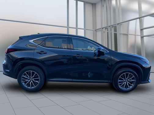 2024 Lexus NX 350h Premium