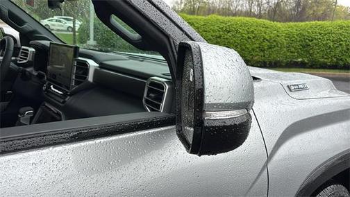 2025 Toyota Sequoia Platinum