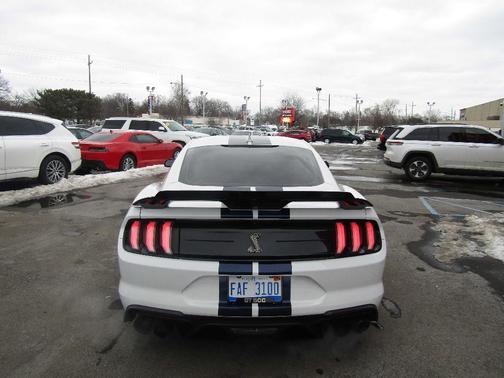 2020 Ford Shelby GT500 Base