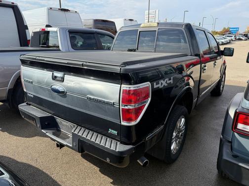 2010 Ford F-150 Platinum