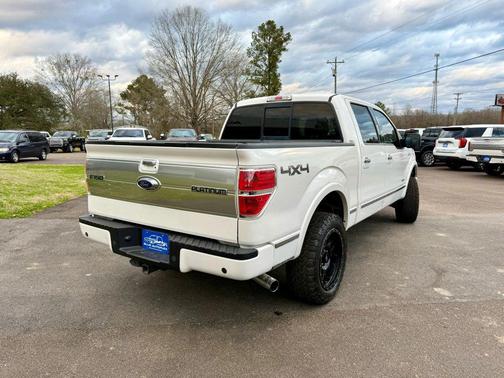 2014 Ford F-150 Platinum