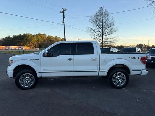 2014 Ford F-150 Platinum