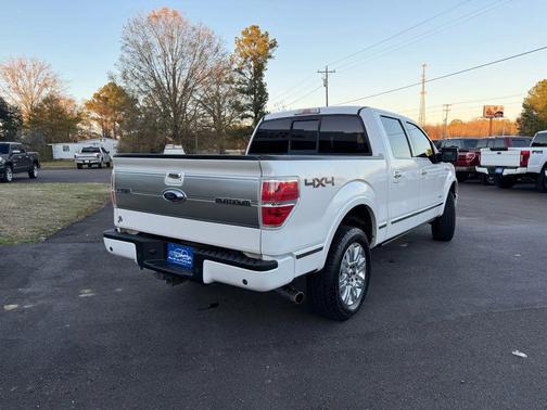 2014 Ford F-150 Platinum