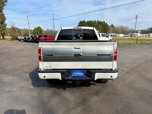 2013 Ford F-150 Platinum