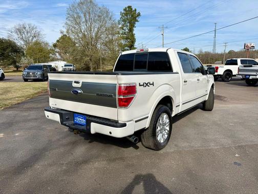 2013 Ford F-150 Platinum