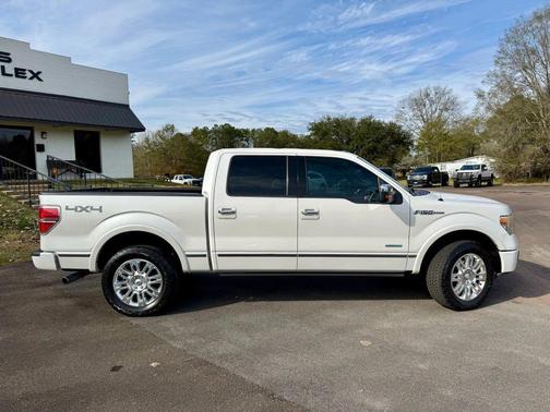 2013 Ford F-150 Platinum