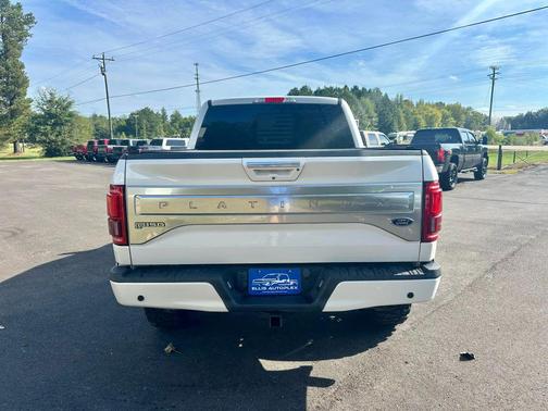 2015 Ford F-150 Platinum