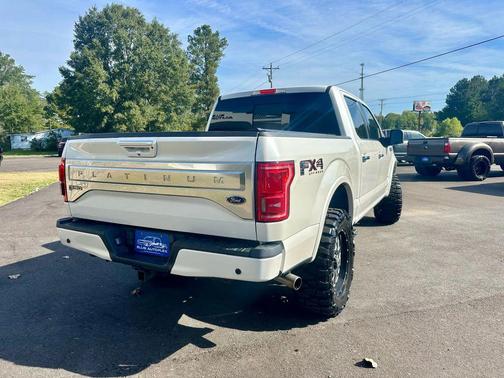 2015 Ford F-150 Platinum