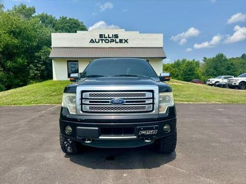 2014 Ford F-150 Platinum