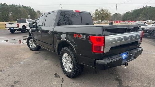 2019 Ford F-150 Platinum