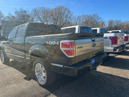 2014 Ford F-150 Platinum