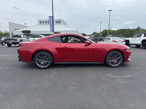 Rapid Red Metallic Tinted Clearcoat 2024 Ford Mustang EcoBoost