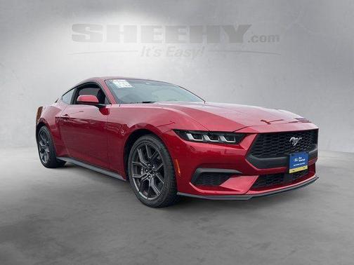 Rapid Red Metallic Tinted Clearcoat 2024 Ford Mustang EcoBoost