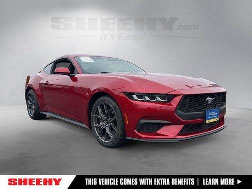 Rapid Red Metallic Tinted Clearcoat 2024 Ford Mustang EcoBoost