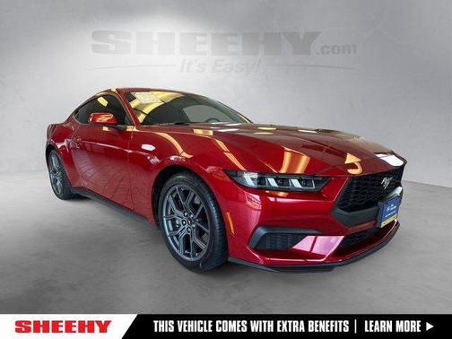 Rapid Red Metallic Tinted Clearcoat 2024 Ford Mustang EcoBoost