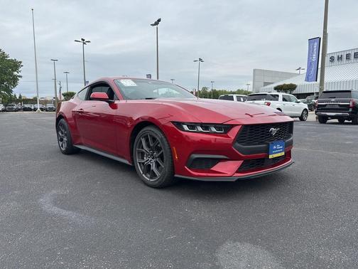 Rapid Red Metallic Tinted Clearcoat 2024 Ford Mustang EcoBoost