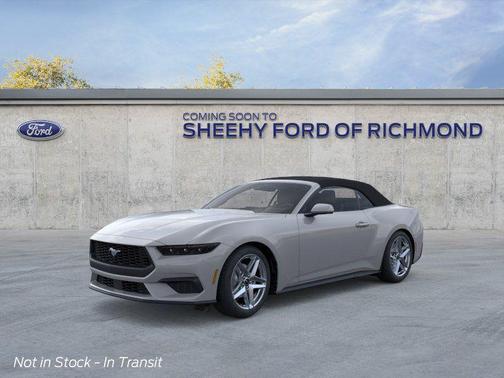Avalanche Gray 2026 Ford Mustang EcoBoost