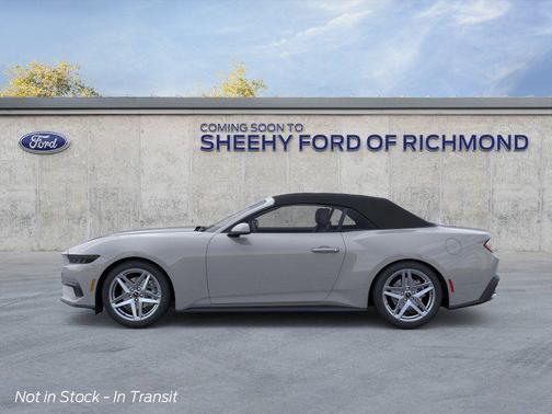 Avalanche Gray 2026 Ford Mustang EcoBoost