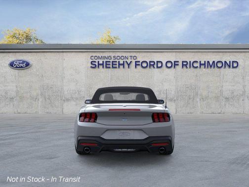 Avalanche Gray 2026 Ford Mustang EcoBoost