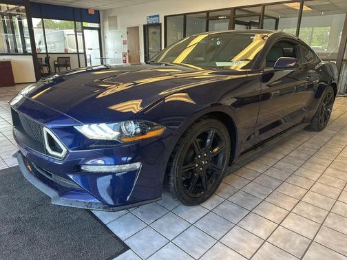 Kona Blue Metallic 2019 Ford Mustang EcoBoost