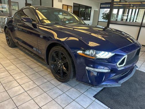 Kona Blue Metallic 2019 Ford Mustang EcoBoost
