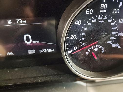 Snow White Pearl 2024 Kia Carnival EX