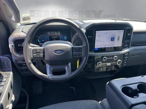 Silver Metallic 2025 Ford F-150 XLT