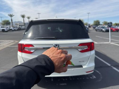 2019 Honda Odyssey Elite