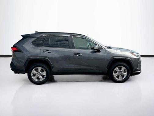 Magnetic Gray Metallic 2025 Toyota RAV4 XLE