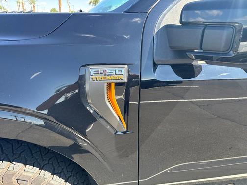 Agate Black Metallic 2022 Ford F-150 Tremor