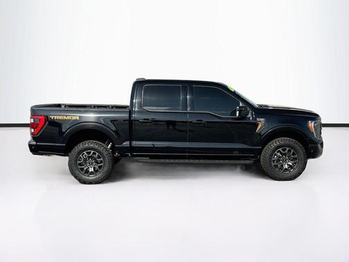 Agate Black Metallic 2022 Ford F-150 Tremor