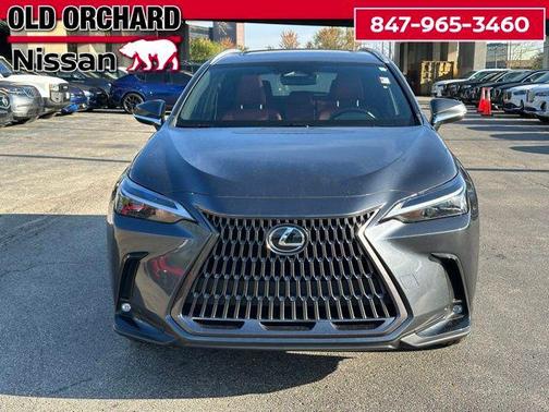 2022 Lexus NX 350 350 Base