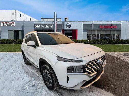 Quartz White 2022 Hyundai SANTA FE HEV Blue