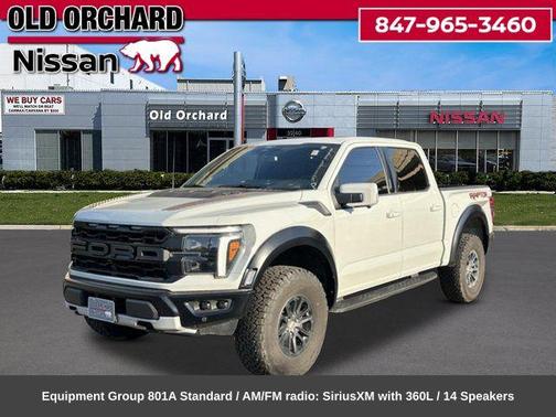Gray 2024 Ford F-150 Raptor