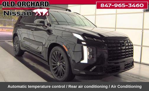 Abyss Black Pearl 2025 Hyundai PALISADE Calligraphy Night Edition
