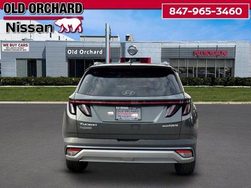 Amazon Gray 2025 Hyundai TUCSON Hybrid SEL Convenience