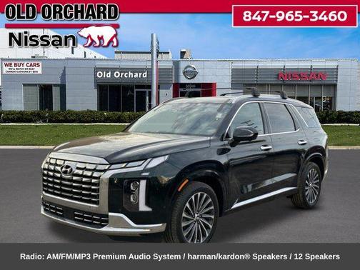 Robust Emerald 2025 Hyundai PALISADE Calligraphy