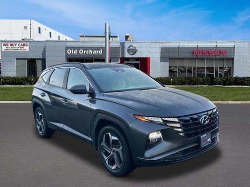 Amazon Gray 2023 Hyundai TUCSON SEL
