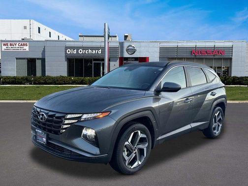 Amazon Gray 2023 Hyundai TUCSON SEL