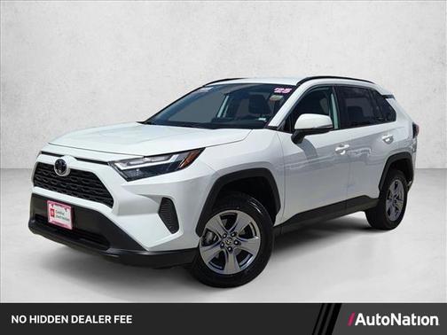 Ice Cap 2025 Toyota RAV4 XLE