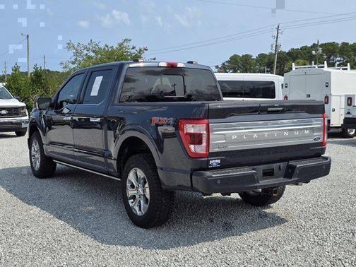2022 Ford F-150 Platinum