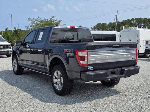 2022 Ford F-150 Platinum