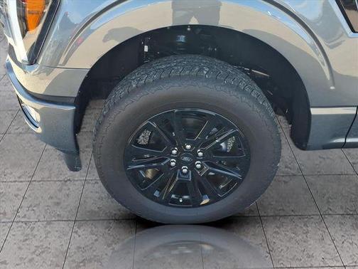 CARBONIZED GRAY METALLIC 2025 Ford F-150 Platinum