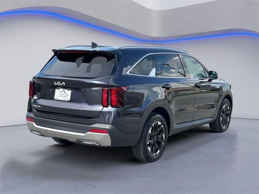 Panthera Metal 2025 Kia Sorento S