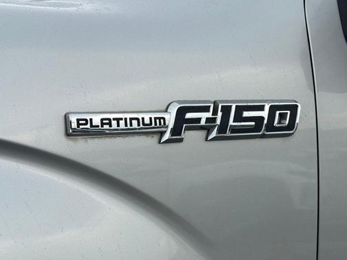 Terrain 2013 Ford F-150 Platinum